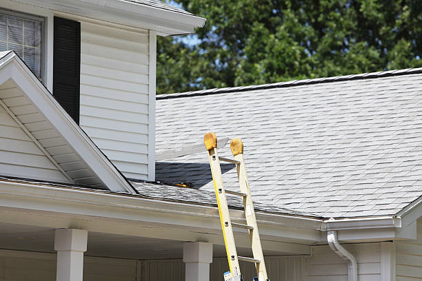 Best Construction Debris Removal  in Venice Gardens, FL